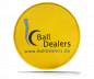 Preview: BALL DEALERS Leather Shammy PAD (Rund) Yellow